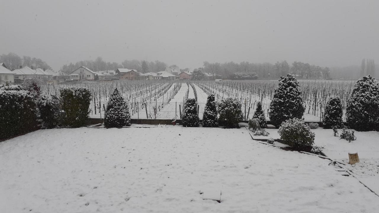 Aux Pieds Des Vignes Panzió Ingersheim Kültér fotó