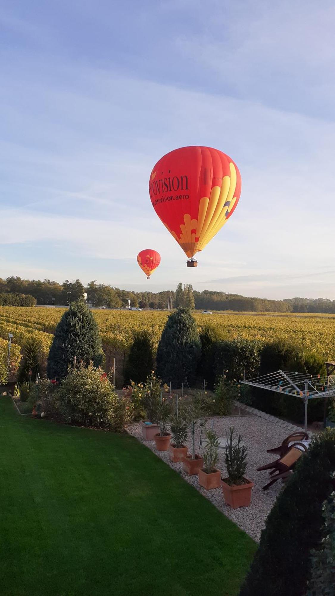 Aux Pieds Des Vignes Panzió Ingersheim Kültér fotó